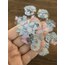 Flowers in full Bloom Pet Stickers/Blue