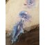 Jellyfish Floral Queen/LONDON GİFTİES/1 döngü