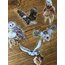 Magic Birds Hologram Pet Sticker