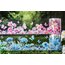 Colourful Floral Dream Washi Bantlar (Bütün Rulo)