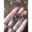 Flowers And Keys Pet Sticker Pack