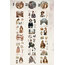 Beautiful Moments Pre-cut Pet Stickers/1 döngü
