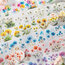 Colourful Dandelion Holografik Pet Bantlar/1 döngü