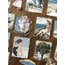 Shape Of Water Pet Stickers