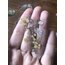 Flowers And Keys Pet Sticker Pack