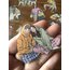 Always Have Always Will Pet Stickers