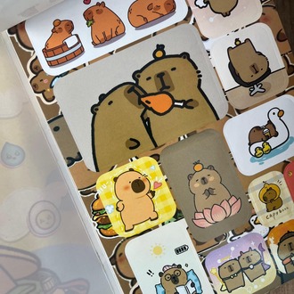 Capybara Sticker Defteri (2)