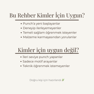 Punch'a sağlam başlangıç rehberi