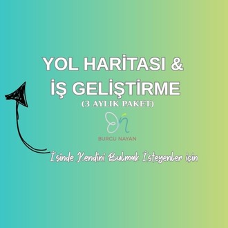 Yol Haritası & İş Geliştirme Paketi – 3 Ay