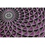 Torus Yantra Lila 
