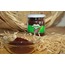 Doğal Oragnik Akdeniz sumağı 100 gr