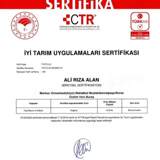 Lokum Çanak Enginar 30 Tane İri Boy
