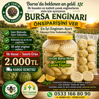 Lokum Çanak Enginar 30 Tane İri Boy