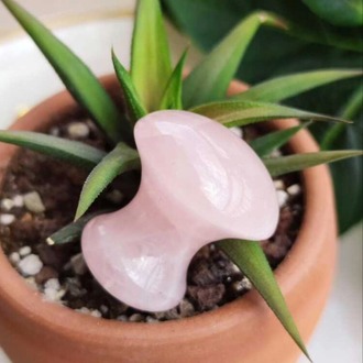 Pembe Kuvars Mantar Guasha Taşı