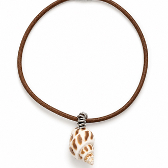 Babylonia Shell Necklace
