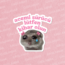 Acemi Sürücü Hamster 1 Adet
