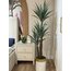 çiçek
