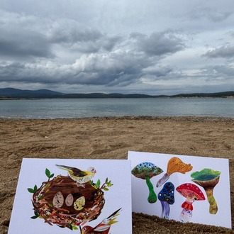 KARTPOSTAL SETİ