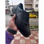 HAKİKİ DERİ ÇOK YMUSAK BAĞCIKLI SNEAKER