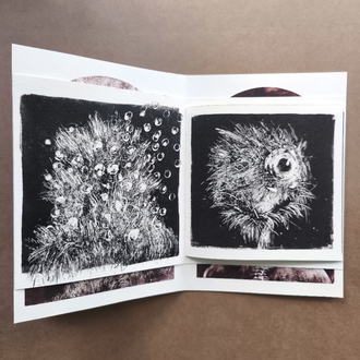 Monoprint Collection Art Zine