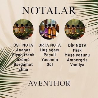 Aventhor Erkek Parfüm 50 ML