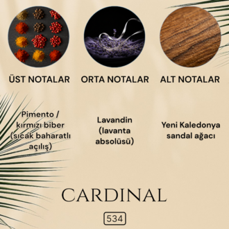 Cardinal Erkek Parfüm 50 ML
