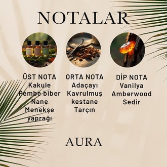 Aura Erkek Parfüm 50 ML