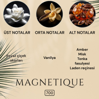 MAGNETIQUE Erkek Parfüm 50 ML