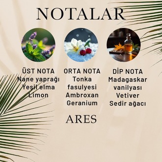 Ares Erkek Parfüm 50 ML