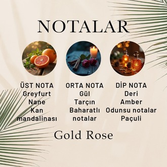 Gold Rose Erkek Parfüm 50 ML
