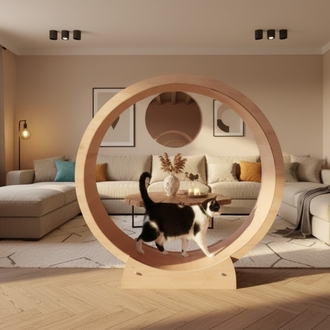Kedi Çarkı - Midi boy Kedi Egzersiz Tekeri 