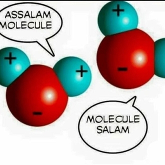 Bağış yapabilirsiniz 