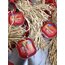 Çemenci ACISIZ 10 adet (2 kg)