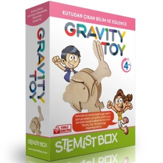 Stemist Box Gravity Toy 