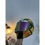 AGV PISTA GP RR WORLD CHAMPION