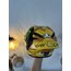 AGV PISTA GP RR WORLD CHAMPION