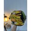 AGV PISTA GP RR WORLD CHAMPION