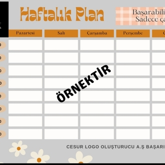 ÖĞRENCİLERE ÖZEL HAFTALIK DERS ÇALIŞMA PROGRAMI HAZIRLANIR 
