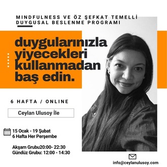 Duygusal Yeme Eğitimi (Canlı/Online)