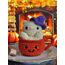 Pumpkin Spice Cat 