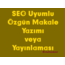 SEO Uyumlu Özgün Makale Yazımı