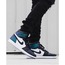 NİKE AİR JORDAN 1 CHAMELON
