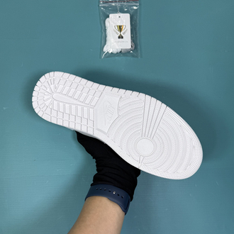 Jordan Low Küçük Dior
