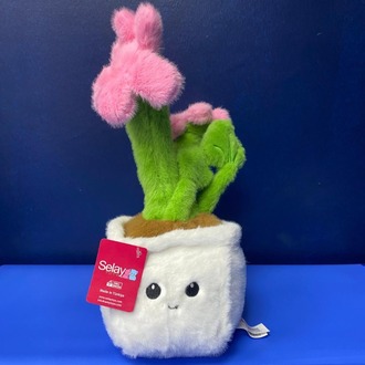 Peluş Kaktüs