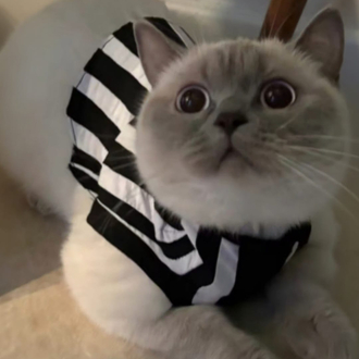 Beşiktaş Forması 