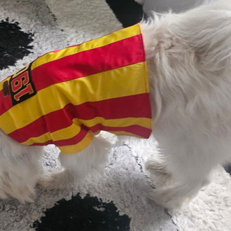 Galatasaray Forması 