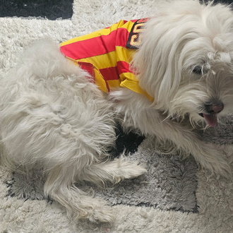 Galatasaray Forması 