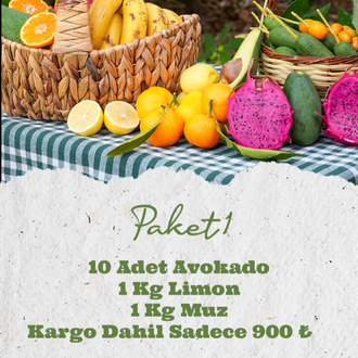 PAKET 1