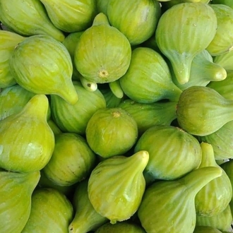 taze incir (1kg)