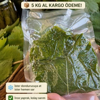 5 kilo vakumlu taze yaprak kargo bedava